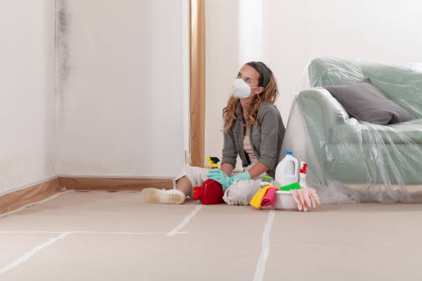 Reliable Mold Remediation contractor in Rosemount, MN by 24 Hour Mold Removal